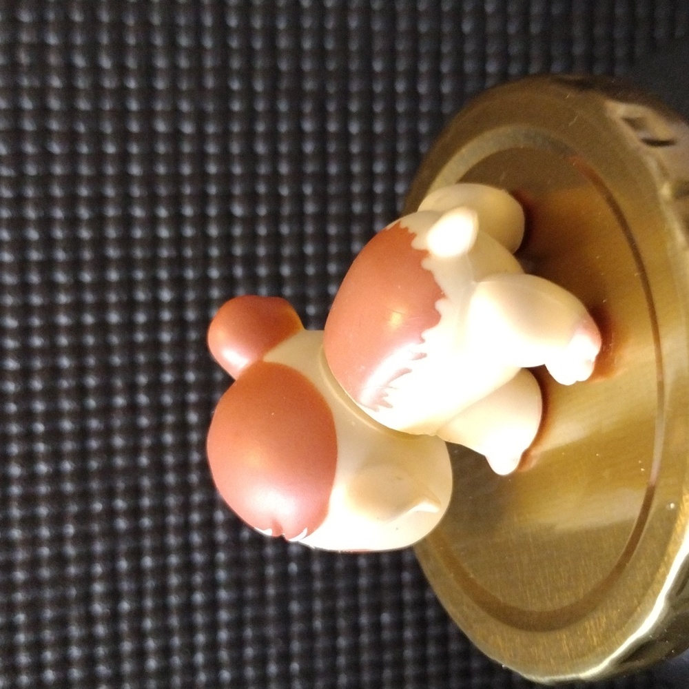 LPS - Guinea Pig - Picture 2 of 3